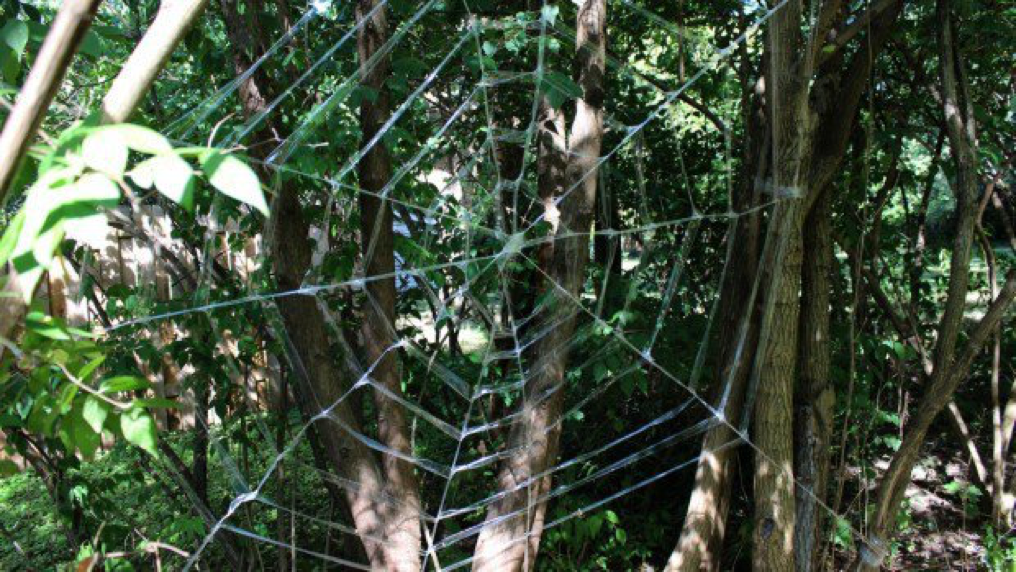 Shrink wrap spider web