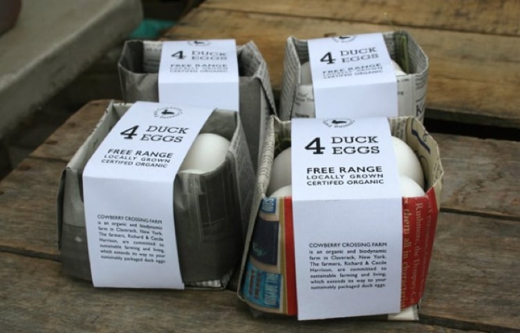 Newspaper egg carton